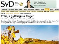 TOKAJ ÉS KÖRNYÉKÉT MUTATJA BE A SVÉD SVENSKA DAGBLADET NAPILAP