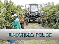 SZÜRETELTEK A RENDŐRÖK IS BÁCS-KISKUNBAN