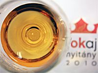 RÉGI FEGYVER ÚJRA TÖLTVE - TOKAJ NYITÁNY 2010