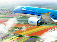 Haspókoknak kedvez a KLM