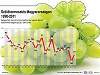 Remek szőlőtermés, sok bor várható